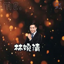 林婉清
